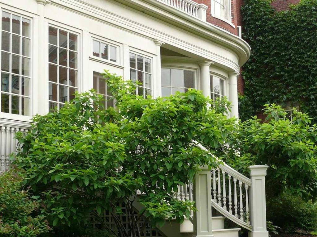 Blind Tiger Portland - Danforth Street Guest House Екстериор снимка